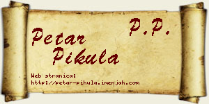 Petar Pikula vizit kartica